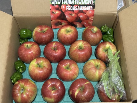 《予約商品》10月上旬～ 綺麗な葉とらずシナノスイート 10キロ箱24～36玉