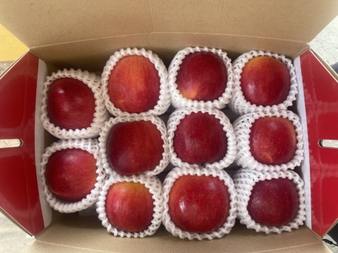 まるごとガブリっ！岩手江刺産【小玉：奥州ロマン】2㎏