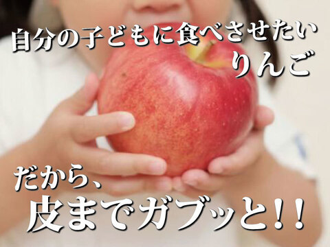 【福袋】青森県産 約５キロ×２箱 季節の樹上完熟りんご詰め合わせセット【家庭用厳選品】