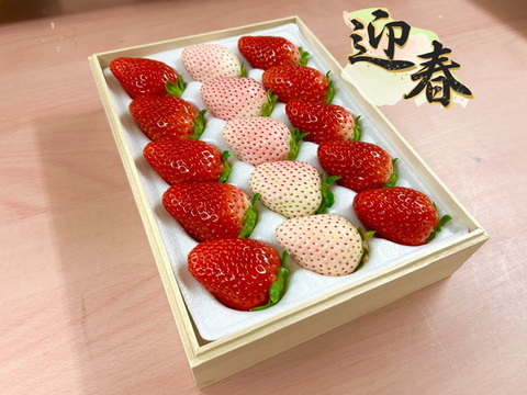 【ゲン担ぎ福袋】年越し・迎春用『紅白セット』フレーズのこだわりいちご(贈答用)