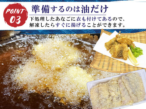 あなごフライ！島根県沖で獲れたアナゴを使った揚げるだけの簡単調理セット豪華800g