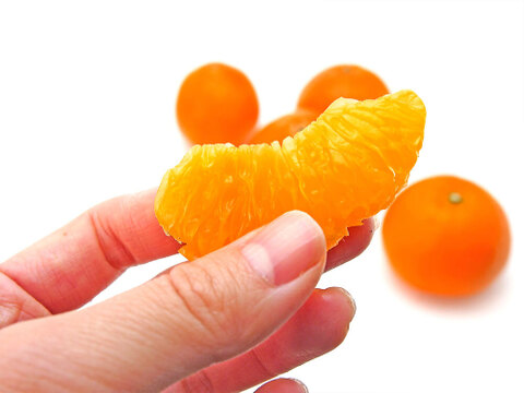 【ご注文受付中】伊予柑(いよかん)【家庭用(訳あり)】10kg 314-4