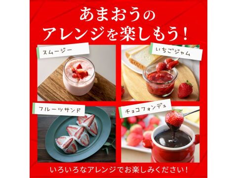 【いちごの王様！ あまおう苺 サイズ色々で270ｇ×4パック！【冬ギフト】