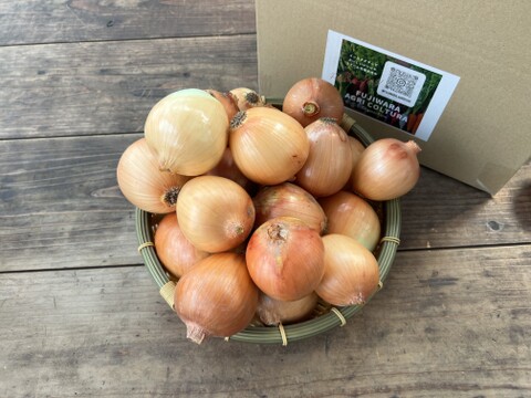 ☆有機JAS認証☆たまねぎ4.5kg