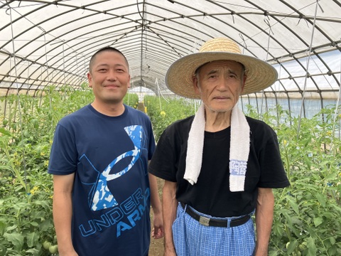 季節のお野菜６品セット