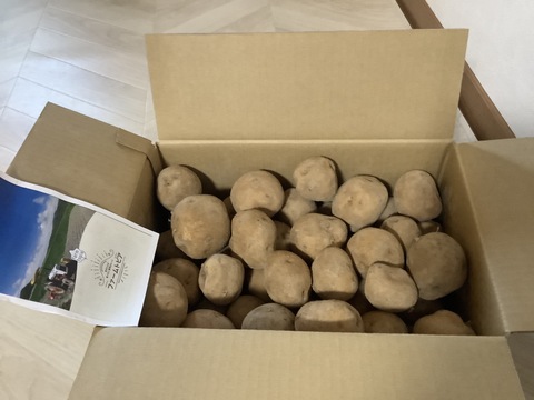 北海道産キタアカリ10