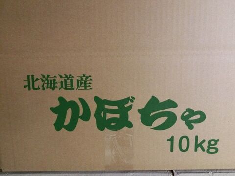 訳あり品　栗のような味わいの南瓜 九重栗　10ｋｇ箱(5～8玉入）【北海道富良野産】