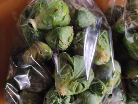 ✨【農薬・化成肥料不使用】ぎゅっと濃厚！冬のごちそう芽キャベツ 約400g✨