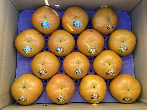 太秋柿【3.5kg】