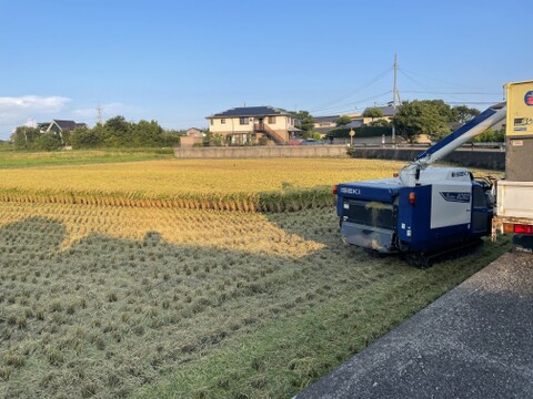 コシヒカリ無洗米５㎏ 小松島市生物多様性農業推進協議認証いのちはぐくむ田んぼ米　令和７年産特別栽培米コシヒカリ玄米100%使用