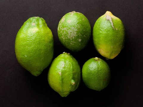 【広島県産】瀬戸田しまなみレモンC品(10kg) 栽培期間中農薬不使用