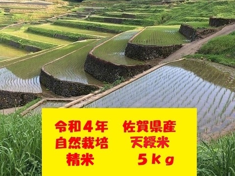 【新年度セール】【10名限定：20%引き】精米５kg！完全自然栽培の美味しいお米！令和４年度佐賀県産「天綬米」
