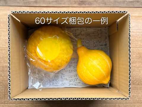 豊作セール80[信州の夏]生で食べれるかぼちゃコリンキー