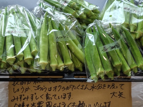 【朝どれ】オクラ 2〜4品種セット1kg【栽培期間中　化学肥料化学農薬不使用】