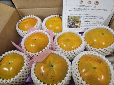 ご予約できます　甘柿『太秋柿』 　サイズ４Ｌ・８個 ・２.45kg以上 白い箱入り
