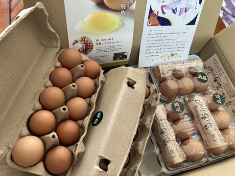 【2025福袋】大きさ色々！平飼い飛鳥の卵の福袋！38個