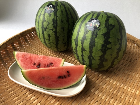 【予約販売】夏ギフト!小玉すいか2個入り箱【1玉約2kg2個入】