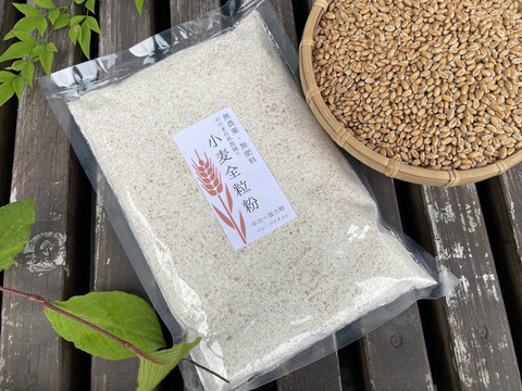 〈メール便〉生命力溢れる 小麦全粒粉 450g×2袋【無肥料・栽培期間中農薬不使用 自然栽培 天日干し】