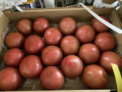 限定セット　トマトB品、はじき品（4kg箱詰め切り）