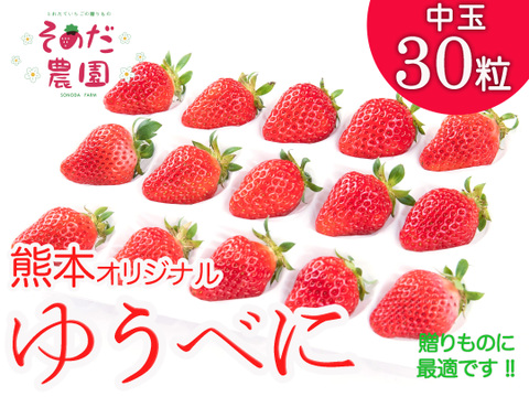 熊本オリジナル【ゆうべに】※ 熊紅 いちご 30粒(L・2L サイズ)