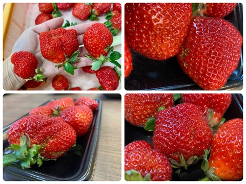 【訳あり】完熟！オーガニックあまおうB級（※6パックまで送料同じ）