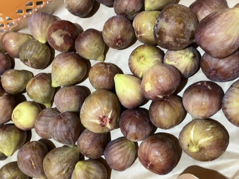 無添加いちじくのドライフルーツ ５０ｇ/袋（蓬莱柿・尾道産）