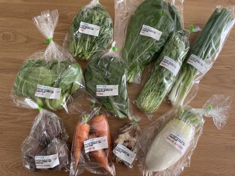 【初回限定価格】ヤギまっしぐら！ほんのり味わい深い野菜セット