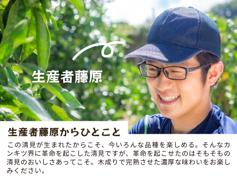 清見｜春先まで樹上完熟させた濃厚な味わい！みかんとオレンジのかけ合わせで生まれた和歌山県海南市下津町産の和製オレンジ（ご家庭用4kg）