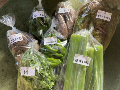 【夜市限定】露地栽培 自分にご褒美!冬のリッチな味覚🥗詰め合わせ☆