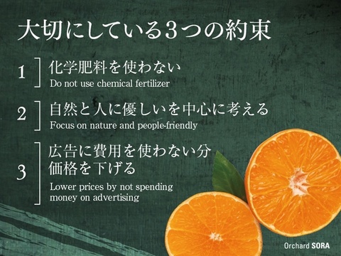 そらブラッドオレンジ【農家直送/訳あり】3kg