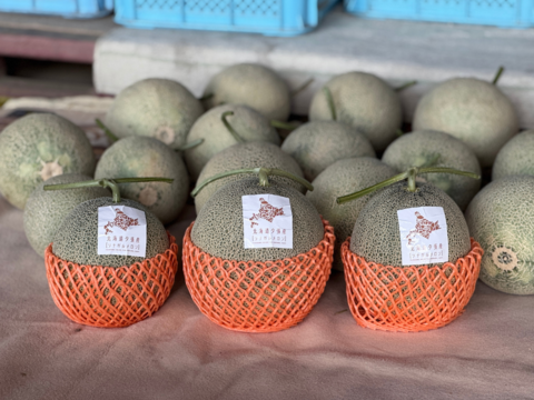 【訳あり】北海道夕張産［ツナガルメロン］（4～6玉 ）｜みんなで味わう、5つの物語の詰め合わせセット