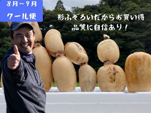 規格外】夏れんこん4kg ☆冷蔵便でシャキ旨直送 たっぷりで家計応援