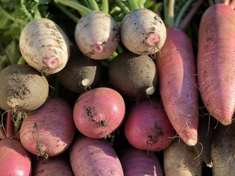 【栄養価が高い】しゅんセット(8〜10品目前後)