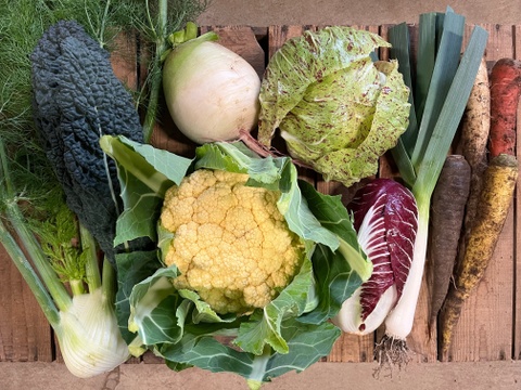 農薬・化学肥料不使用！西洋野菜とカラフル野菜セット！！