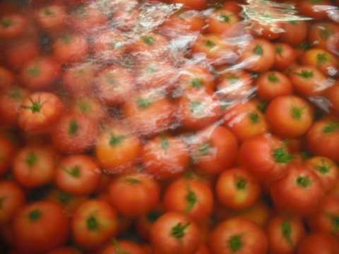 【無水・無塩・無添加】北海道産100％ピュア・スイート・トマトジュース　(500ml×20本)