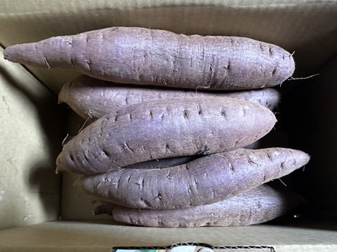 べにはるか　サツマイモ　2kg  蒸し芋、温野菜にもおすすめ
