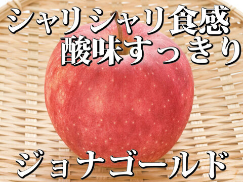 【甘酸っぱいりんご】約３キロ 青森県産「樹上完熟葉とらずジョナゴールド」家庭用厳選品