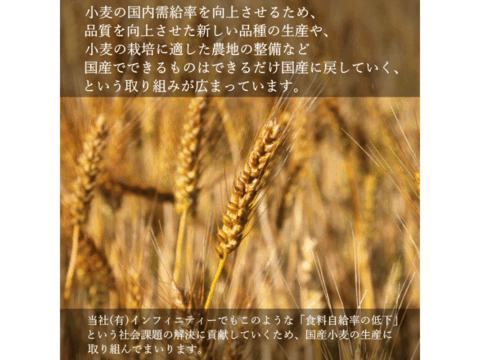 【栽培期間中農薬不散布】ふすま粉 こまい 400g 栄養価が高い小麦ブランを使用 日本の小麦  メール便