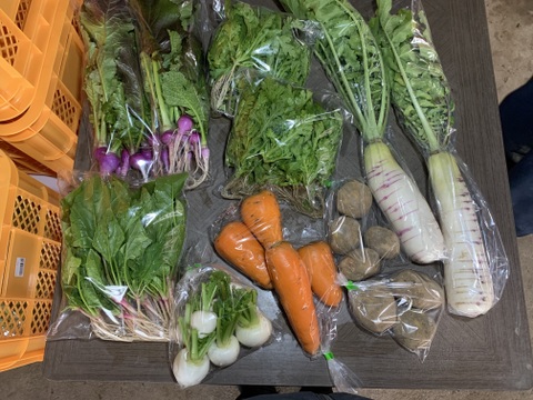 【自然栽培】会津伝統野菜含む5~8品目旬のお野菜セットLサイズ