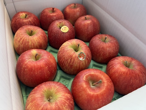 【家庭用】サンふじ 小玉   約3kg(11～14個)