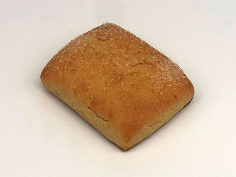 全部有機！【福袋】2026ごほうび1：パンセット⑯+シフォンケーキ　Plain：麦の栽培から一貫生産　自然栽培有機小麦のみ使用したバターがおいしい有機パン＆有機シフォンケーキ