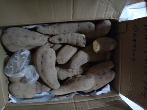 お買い得🉐‼️「はねだし」でも充分美味しい【紅あずま】千葉県香取市産　9.8kg