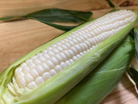 【夏ギフト】【朝採り】甘さ爆発！弾けるとうもろこし　白色のみ12本 『Re.FOODS The Morokoshi』