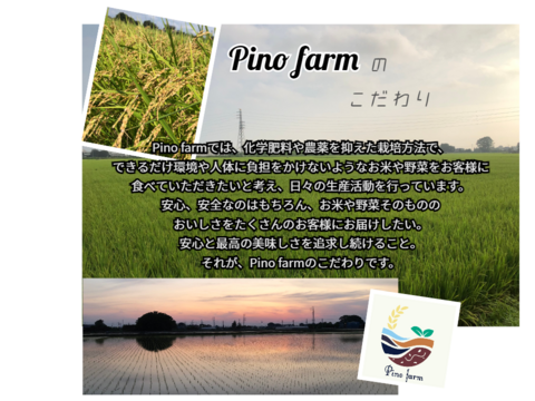 甘くて、味わい深い一等米！Pino farmのおすすめ　R5年産特別栽培米コシヒカリ　5㎏