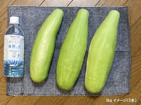 【白瓜】「あさじ白瓜」奈良漬用；農薬・化学肥料無使用