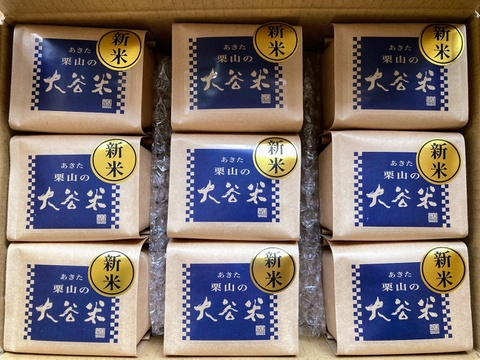 【令和7年度 新米】あきたこまち 「大谷米」300g(2合) ×9個 もっちり甘い 単一農家米100%！