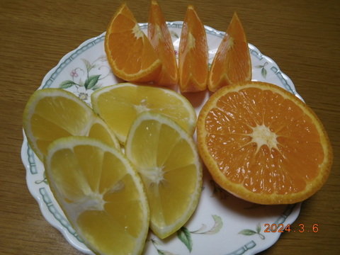 【春の柑橘食べ比べ】伊豆産うれしい３種セット・・・　正味4.0㎏