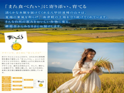 【お値打ち玄米30ｋｇ】令和7年産 青森県産「まっしぐら」紙袋玄米30ｋｇ 彩北米 自社生産 自社調整加工 プロフェッショナル米栽培 あおもり aomori 産直 良品種  さっぱり 美味しい