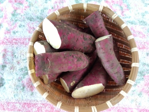 訳あり　さつま芋　【紅はるか】
収獲中に傷つき　２Ｋｇ　１２００円　５セット限定