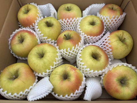 【販売開始！】青森県産りんご「ぐんま名月」家庭用 キズ有 約5kg 【光センサー選果・高リピート率】